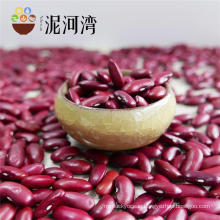 Dried Dark Red Kidney Bean For Canned